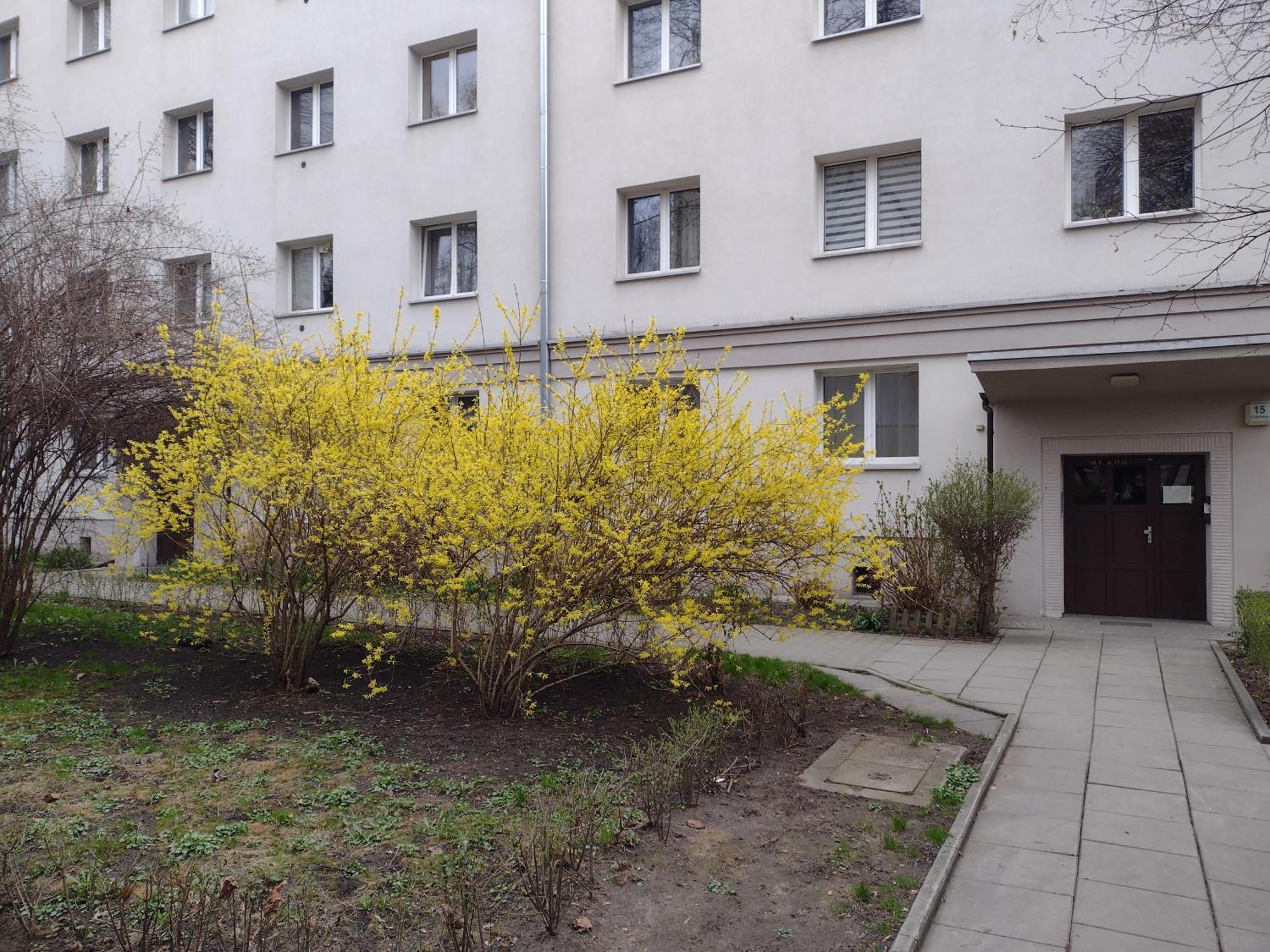 Cracowapart Ignacio A Krasków Exterior foto